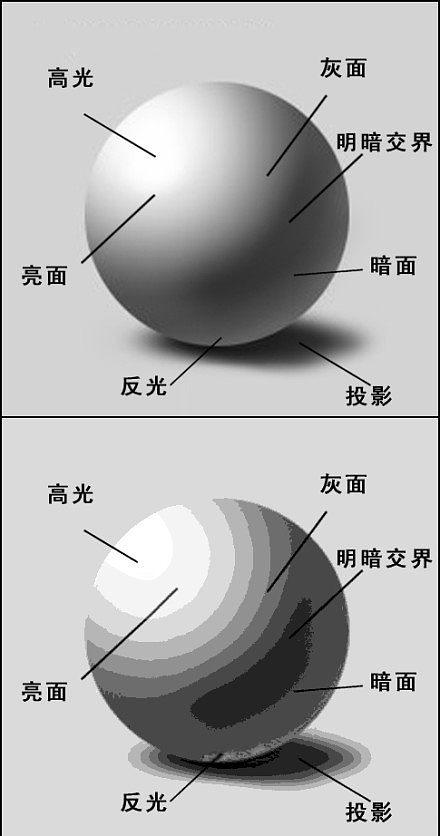 明暗二四如上期正确答案