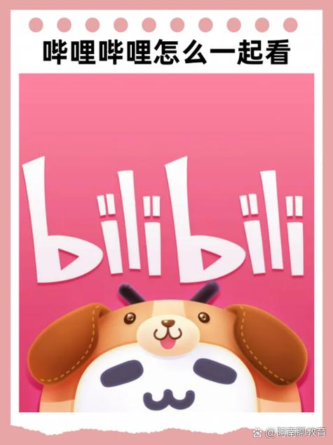 哔哩哔哩hd和哔哩哔哩哪个好截图2