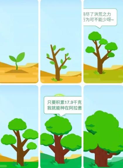 蚂蚁森林一年种多少树