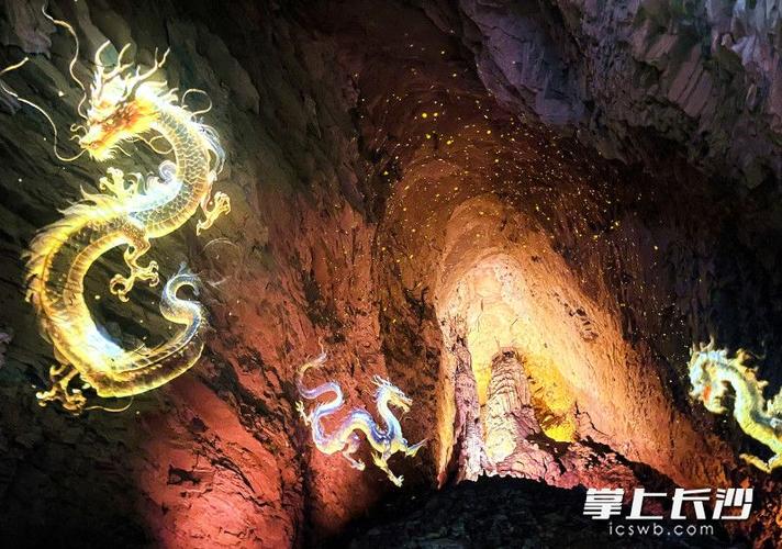 龙腾世纪起源让谁当国王