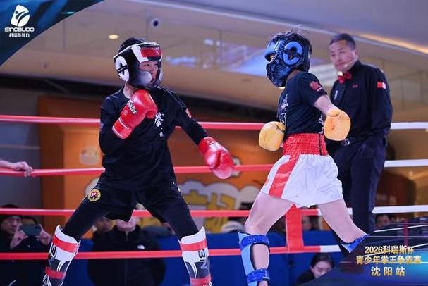 2026年最新拳王争霸赛视频