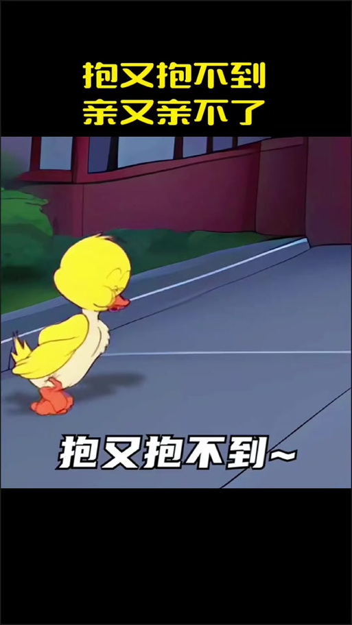 抱不够亲不够怎么办