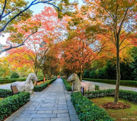 南京旅游必去十大景点推荐