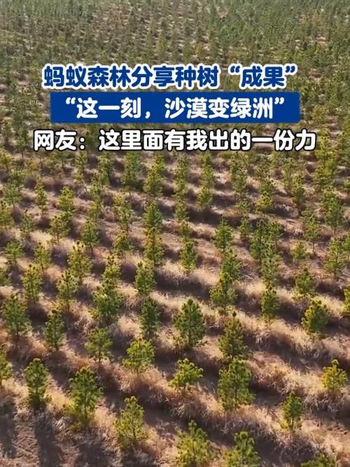 蚂蚁森林多少能量变大树