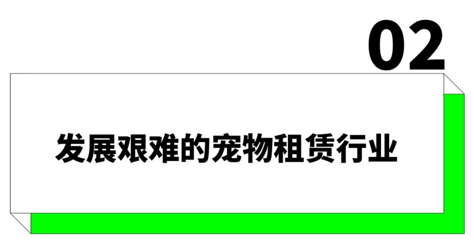 租狗多少钱一天