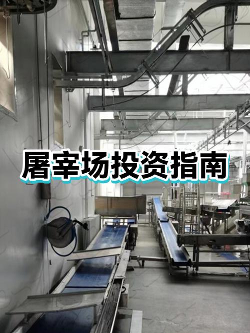 小型屠宰场需要投资多少钱