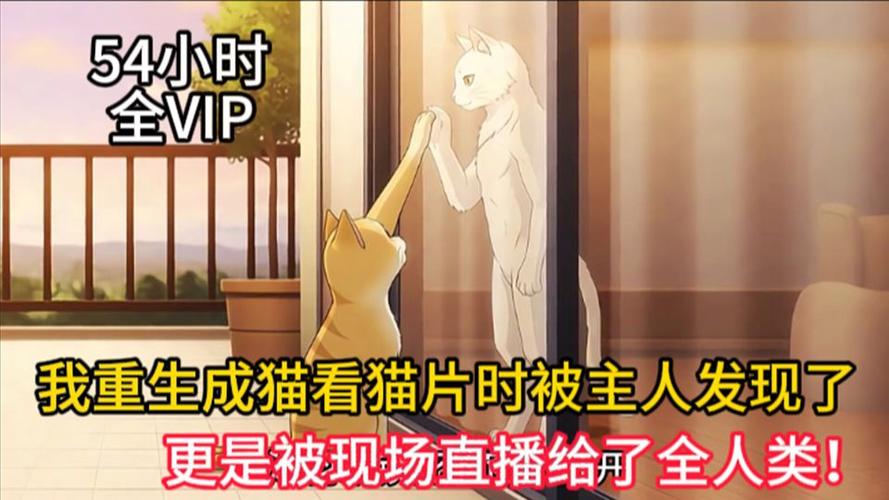 重生成猫的悠闲生活