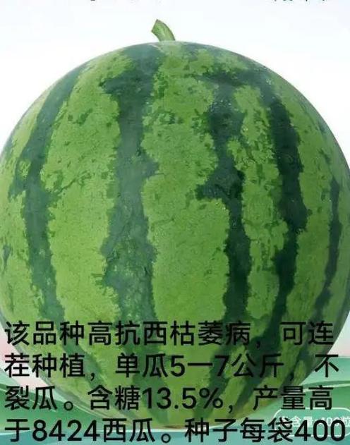 西瓜介绍资料大全