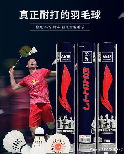 十大公认最强耐打羽毛球