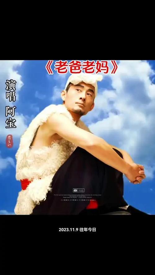 阿宝歌曲精选30首