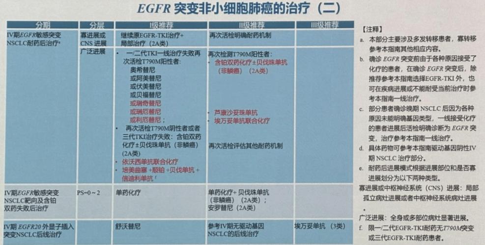 肺部肿瘤治疗方法