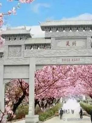 斗罗大陆樱花小镇截图3