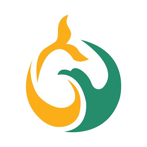 鲲鹏app官方下载安卓最新版本