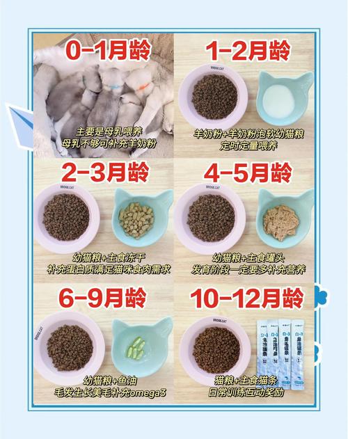 奇妙猫之家怎么施肥截图1