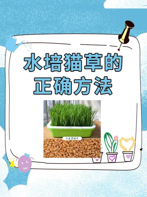 奇妙猫之家怎么施肥截图2