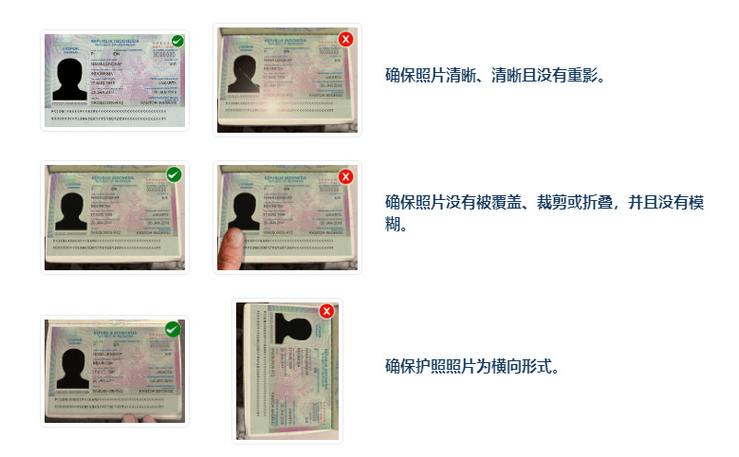 护照电子版照片怎么弄截图2