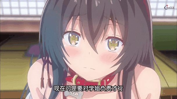 漫猫动漫bt怎么样