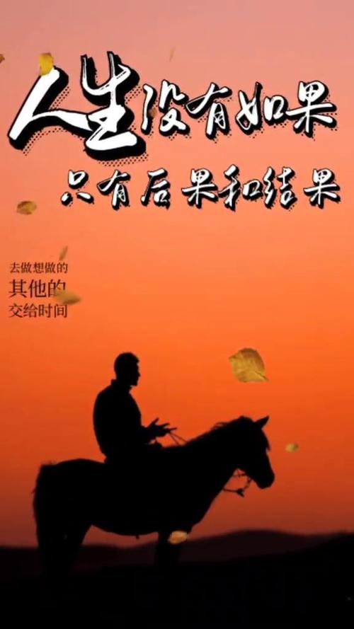 人生没有如果的下一句