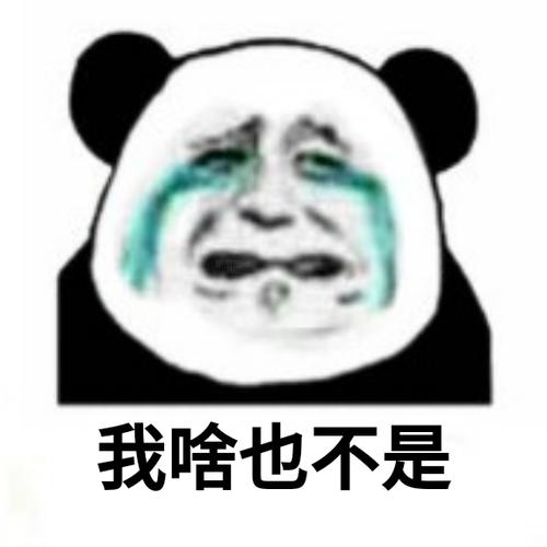 啥也不是表情包