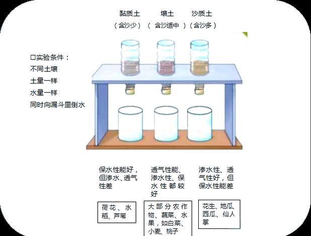 小学科学土壤中有什么教案