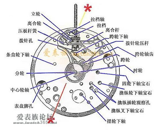 石英表表针怎么拆卸截图2