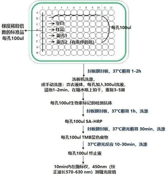 fha怎么触发hcg