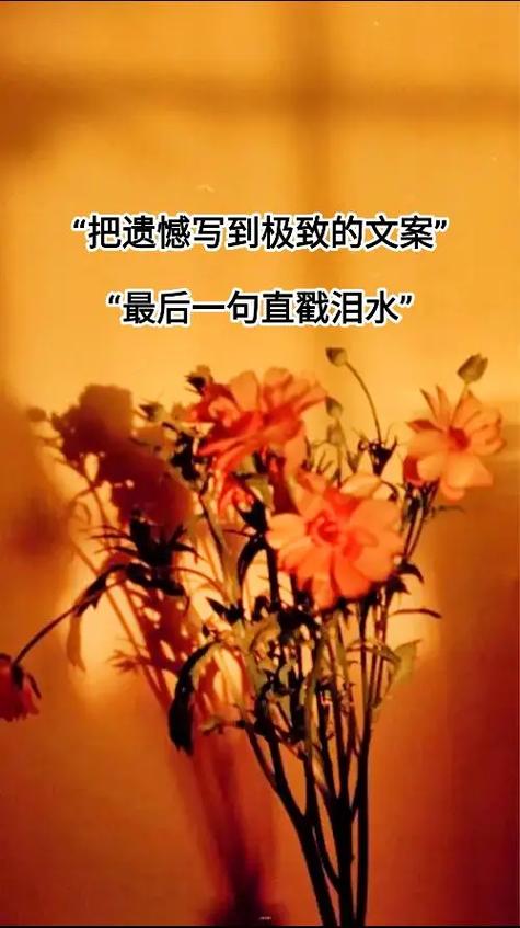 最后我改回了备注