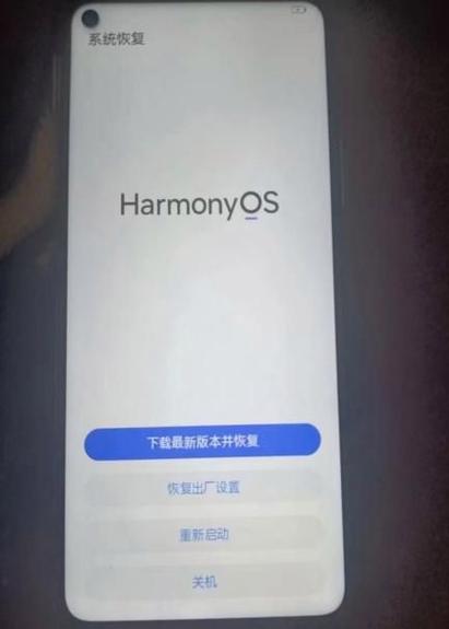 华为显示内存信息