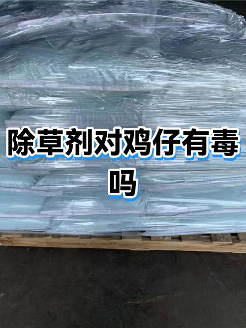 如果鸡误食了毒药怎么办