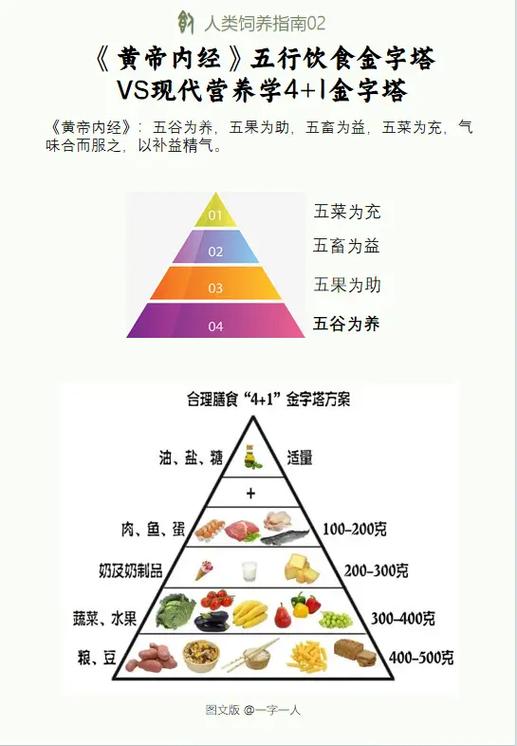 中国健康饮食指南截图3