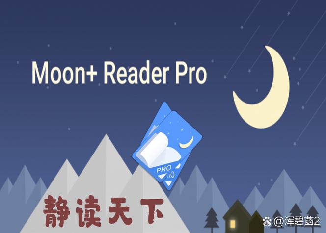 静读天下专业版 吾爱破解