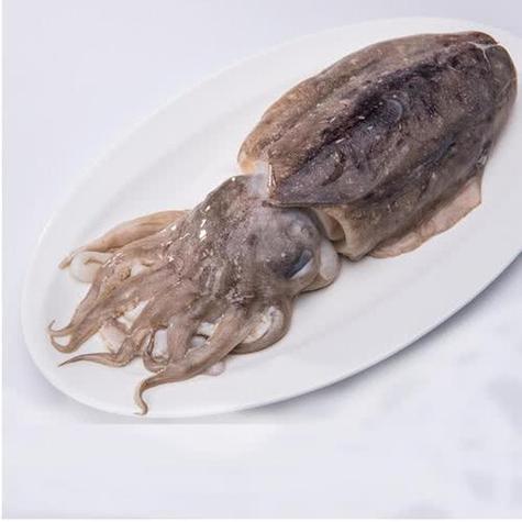 墨鱼里面黑的能吃吗