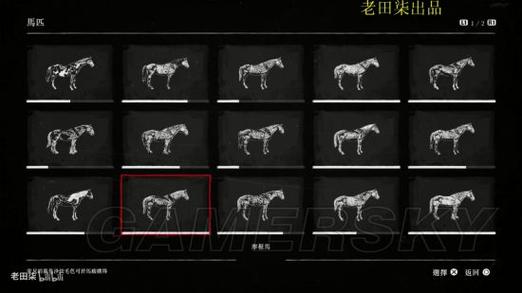 荒野大镖客2公马和母马区别