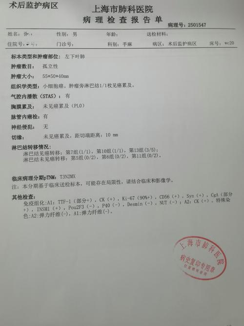 肺部肿瘤3cm什么期