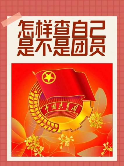怎么查看自己是不是团员