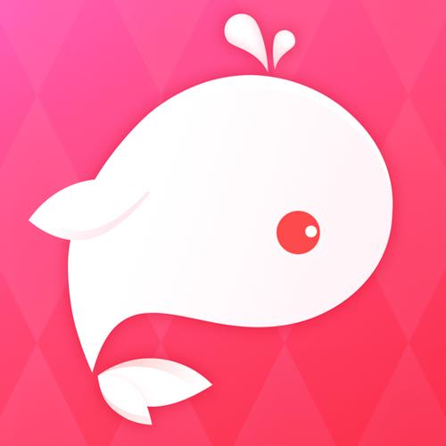 鲸鱼聊天软件叫什么