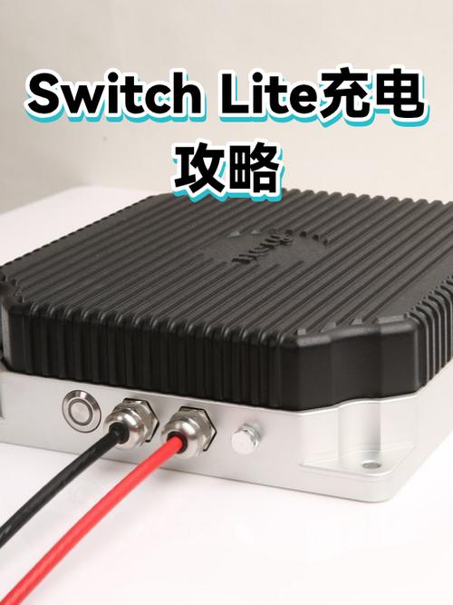 switchlite充电功率