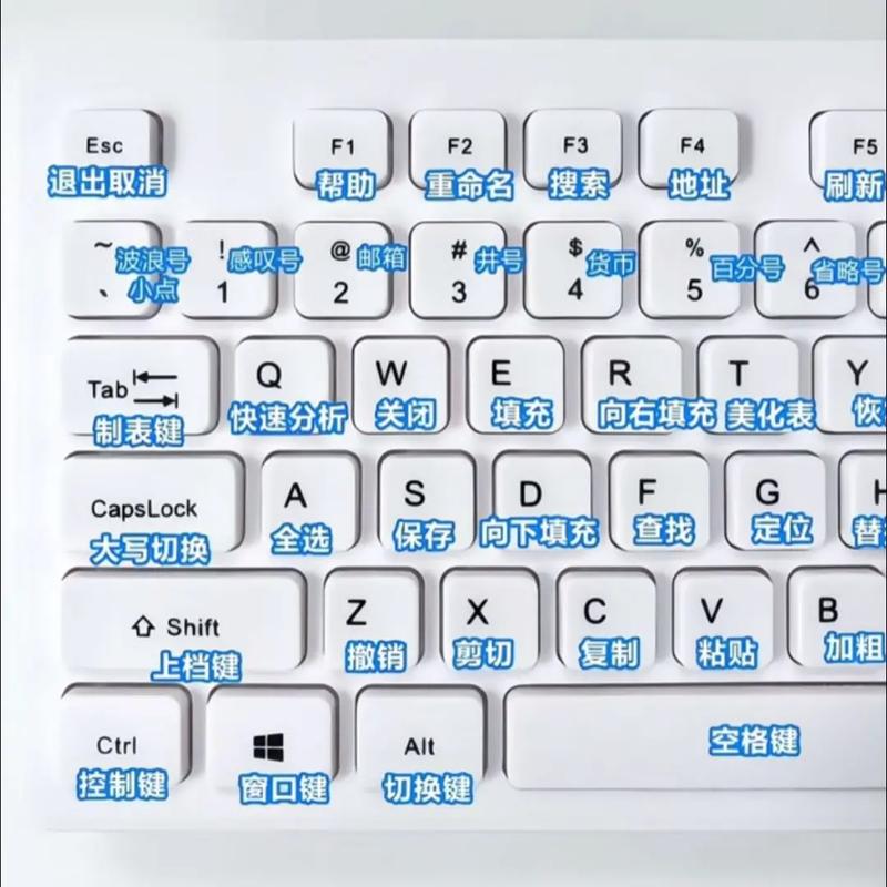 macbook键盘无法输入