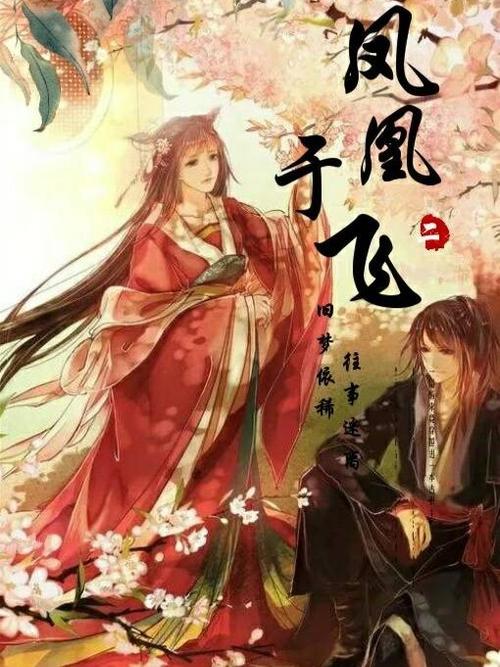 凤凰于飞小说