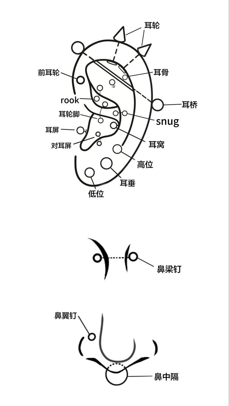 规律打孔师位置 规律打孔师位置