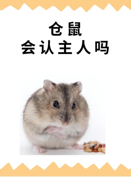 仓鼠饿几天才会被饿死