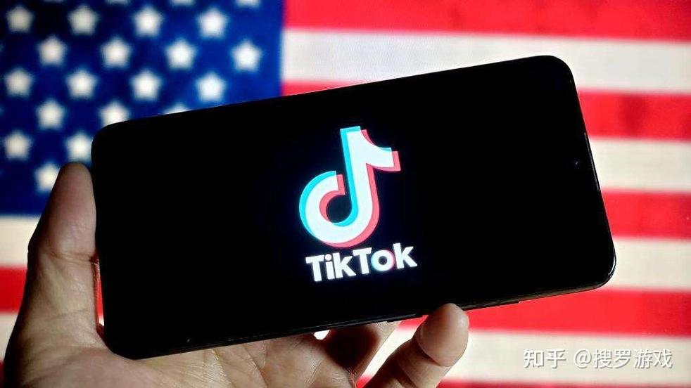 tiktok解决方案安卓截图2