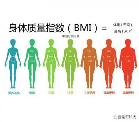 减肥最快运动项目