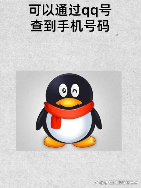 怎么用qq号查户籍