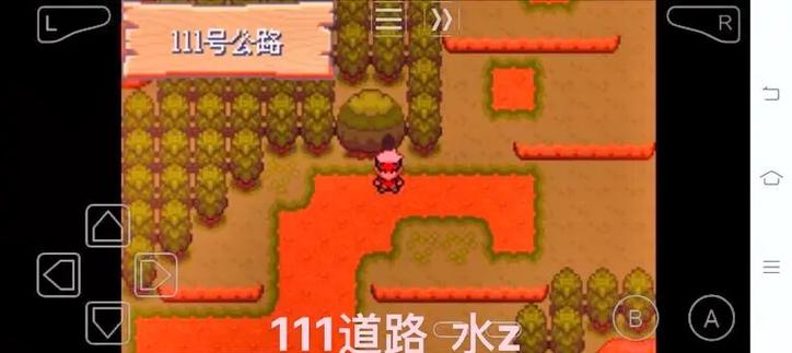口袋妖怪5.5