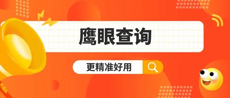 鹰眼查询一次多少钱