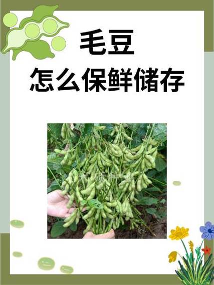 毛豆冻了还能吃吗