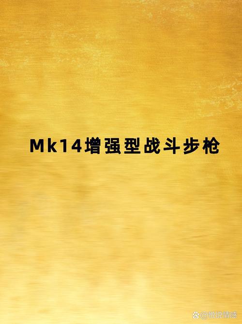 mk14直装v3.0下载截图1