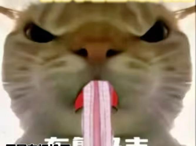 哈基米表情包截图2