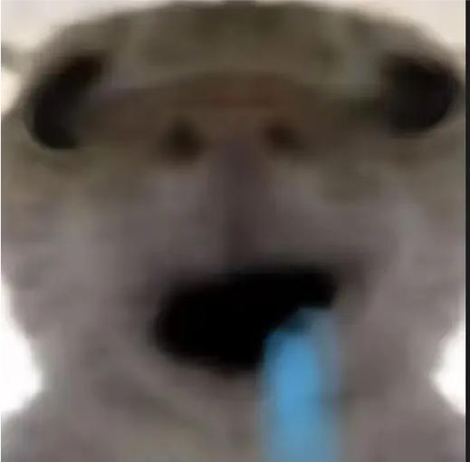哈基米表情包截图3
